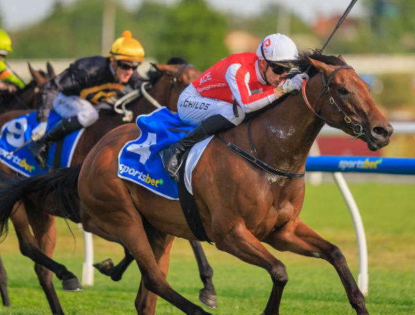 Classy mare Niance wins her fifth of her six starts in Australia in the Gr.3 How Now Stakes (1200m) at Caulfield. Photo: Bruno Cannatelli