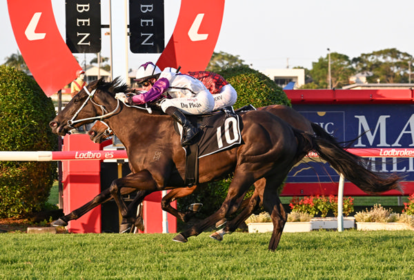 Tony and Maddy Sears look to Nightline to deliver back-to-back victories in the Gr.3 Grand Prix Stakes (1800m) at Eagle Farm. Photo: Grant Peters