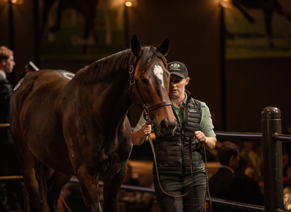 So You think's G1 winner Nimaleee topped the sale at $3.6million