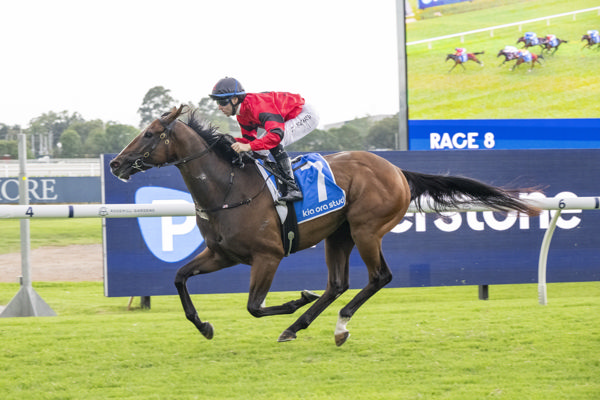 Ninja wins the G2 Hobartville Stakes - image Bradley Photos