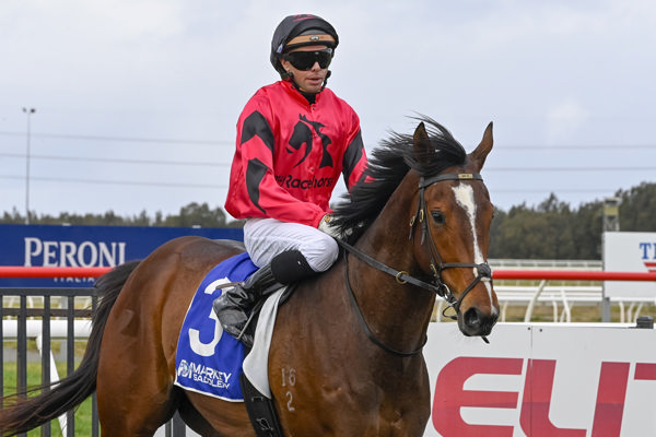 Ninja returns a winner at his second start - image Bradley Photography