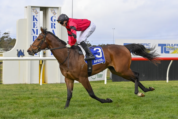 Ninja is in a different post code at Kembla - image Bradley Photography
