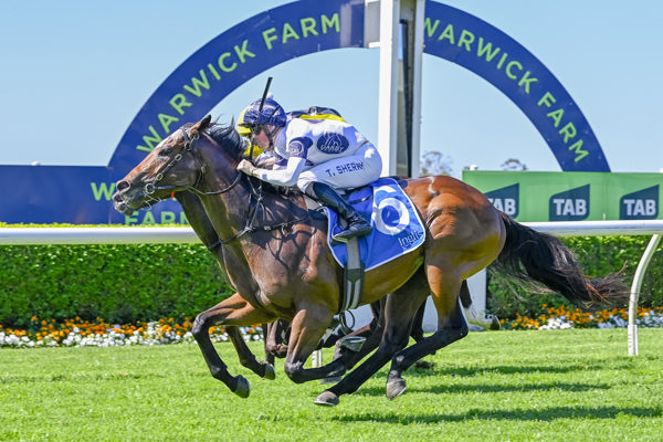 Nitro arrives in the last stride - image Bradley Photos 