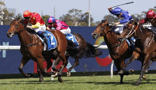 North England wins the $1million G3 ATC Golden Gift - image Steve Hart 