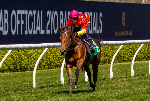 Farnan blazes clear to win his heat by two and a half lengths - image Georgia Young 