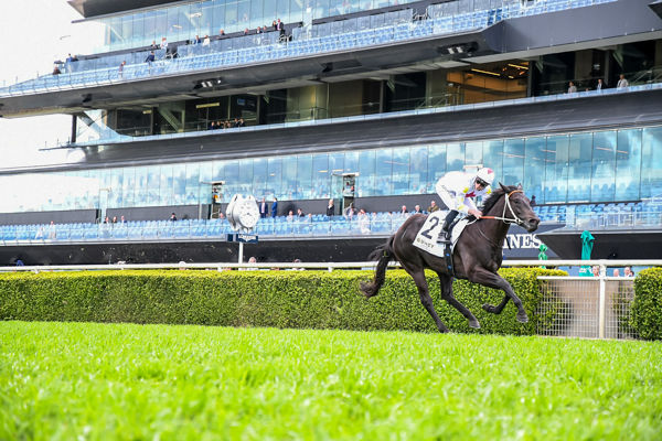 North Pacific wins the G3 ATC  Up and Coming Stakes by daylight - image Steve Hart.