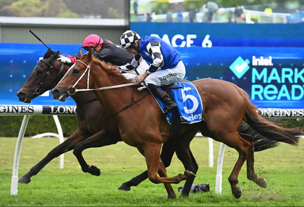 North Star Lass on the3 inside edges out Willinga Beast in the G2 Furious Stakes - image Steve Hart