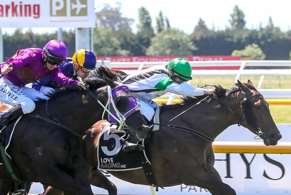 Lily Sutherland drives Not Guilty to glory in the Listed Donaldson Brown Pegasus Stakes (1000m) at Riccarton Park on Saturday.  Photo: Race Images South