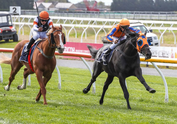 Noverre (inside) winning the Gr.3 War Decree Stakes (1600m). Photo: Race Images South