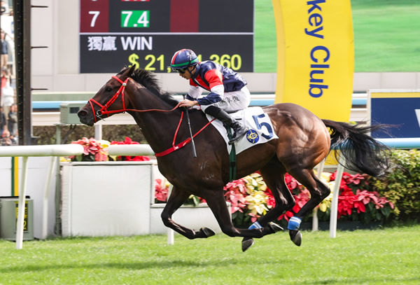 Numbers, formerly King of Thunder, salutes at Sha Tin - image HKJC 