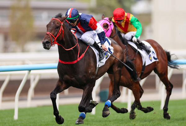 Numbers wins the G3 Centenary Vase - image HKJC