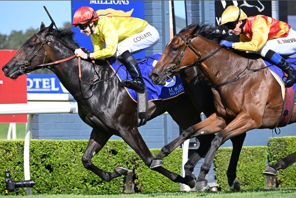 O' Ole wins the Wyong MM 2YO Classic - image Steve Hart