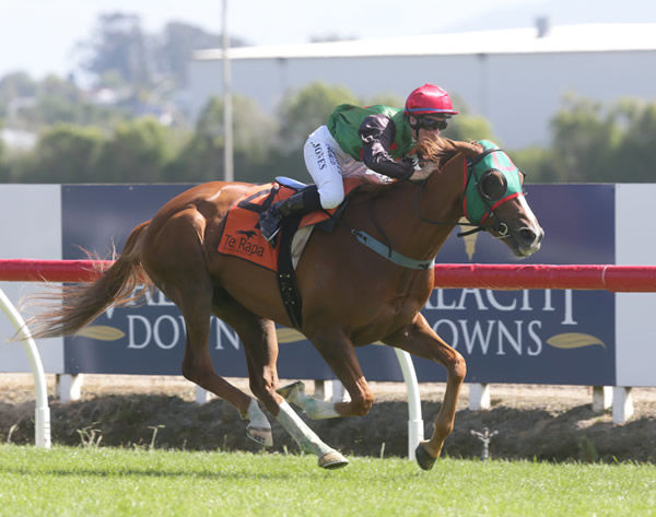 Ocean Billy wins the G3 Waikato Cup - Photo: Trish Dunell