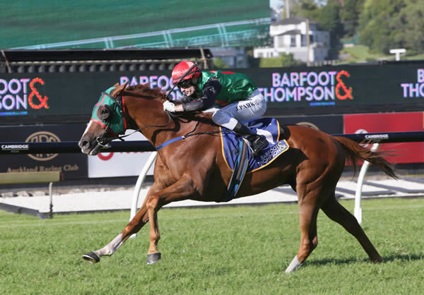 Ocean Billy races away with the Gr.1 Barfoot & Thompson Auckland Cup (3200m) Photo Credit: Trish Dunell