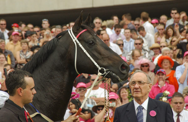 Octagonal and Bob Ingham - image Bradley Photos