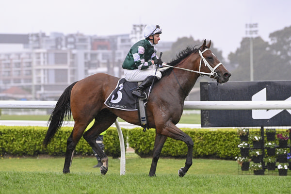 Officiate returned a winner on a gloomy day - image Bradley Photography