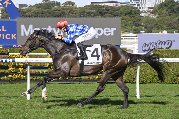 Oh Diamond Lil is a mre in great form, three wins from five starts this preparation - image Bradley Photography
