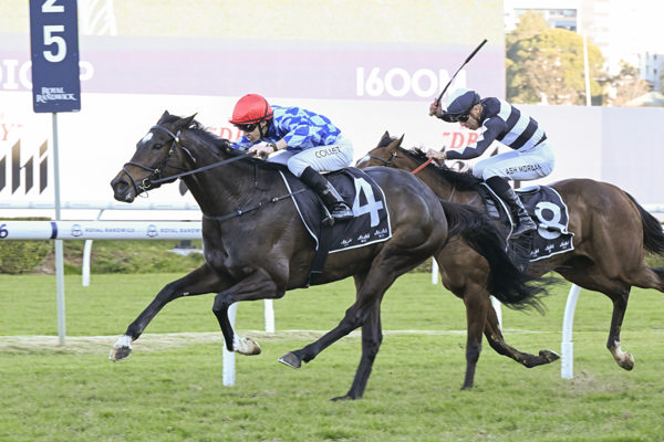 Oh Diamond Lil salutes at Randwick - image Bradley Photography