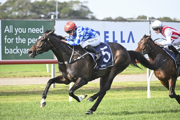 Oh Diamond Lil is the 65th SW for So You Think - image Bradley Photography