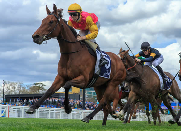 Oh Too Good wins her first stakes race at Caulfield - image Grant Courtney
