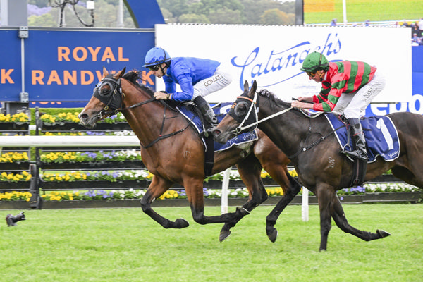 Ohope wins the G2 Callander Presnell - image Bradley Photos