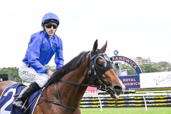 Ohope is now a G2 winner - image Bradley Photos