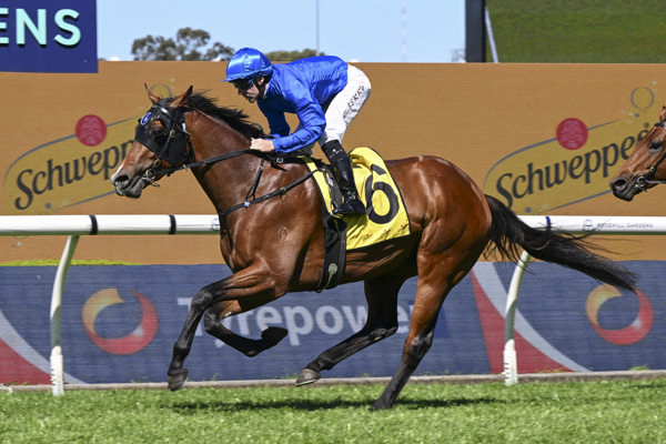Ohope wins the $500,000 Tapp Craig - image Bradley Photos