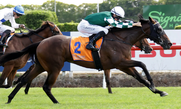 Ohope Wins taking out the Gr.2 David & Karyn Ellis Fillies Classic (2100m) at Te Rapa on Saturday.  Photo: Kenton Wright (Race Images)