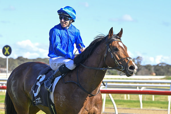 Lovely Looking Colt Ohope Gave Tommy Berry The First Two Winners At Hawkesbury - Image Bradley Photos