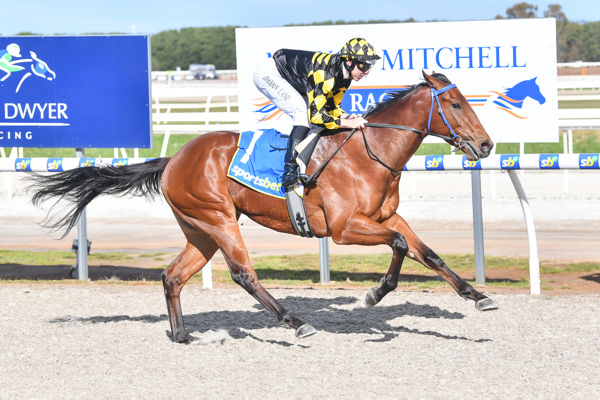 Olatunde wins easily at Ballarat - image Pat Scale / Racing Photos