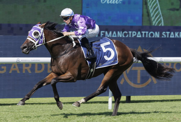 Olentia wins the G2 Emancipation by a space - image Steve Hart