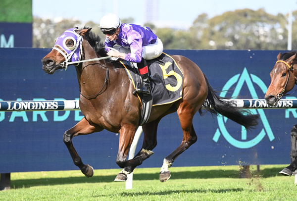 Olentia in full flight at Rosehill - image Steve Hart 