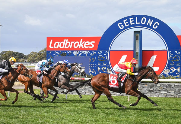 Oliveanotherday salutes at Geelong - image Reg Ryan / Racing Photos