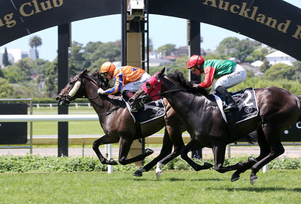 On The Bubbles holds out a gallant Pareanui Bay to win the Listed Shaw’s Wire Ropes Uncle Remus Stakes (1400m) Photo Credit: Trish Dunell