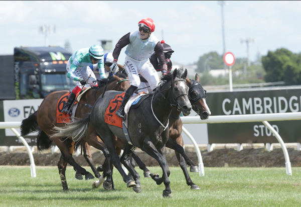 On The Rocks winning the Gr.1 Herbie Dyke Stakes (2000m). Photo: Trish Dunell