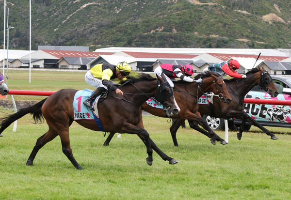 One Bold Cat (outside) winning the Listed Vernon & Vazey Truck Parts LTD (2200m) at Trentham on Saturday. Photo: Peter Rubery (Race Images)