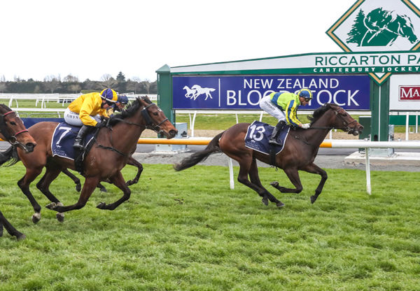 One Kiss holds out the challenges to take out the Listed New Zealand Bloodstock Canterbury Belle Stakes (1200m) Photo credit: Race Images South