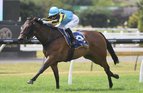 One More Time winning at Ellerslie on Sunday. Photo: Kenton Wright (Race Images)