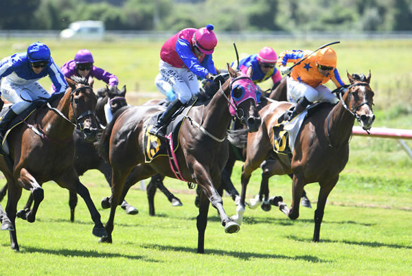 Opawa Jack winning the Wairarapa Cup (2050m) on Monday. Photo: Peter Rubery (Race Images Palmerston North)