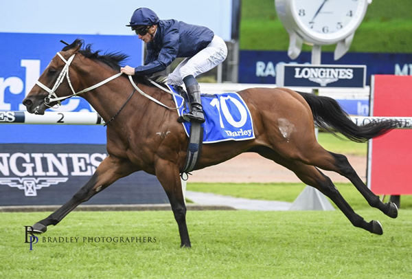 Written tycoon colt Operative topped the sale at $230,000.