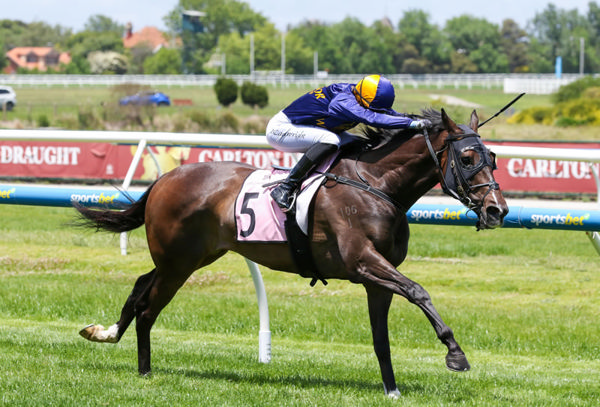 Opening Address returns to the winner’s circle, taking out the Whispering Angel Handicap (1800m) at Caulfield. Photo: Bruno Cannatelli