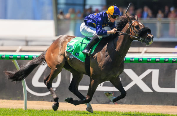 Opening Address wins his first stakes race at Flemington - image Grant Courtney