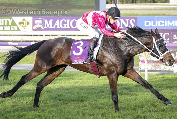 Opportunistic wins the Listed Belmont Guineas - image Western RAcepix