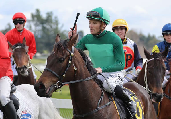 Oratia Beauty will contest the Gr.2 Windsor Park Stud Soliloquy Stakes (1400m) at Ellerslie on Saturday.  Photo: Peter Rubery (Race Images Palmerston North)