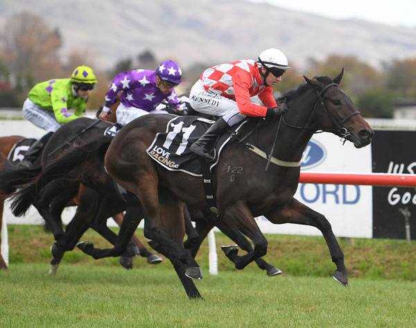 Orchestral will contest the Gr.3 Gold Trail Stakes (1200m) at Hastings on Saturday. Photo: Race Images