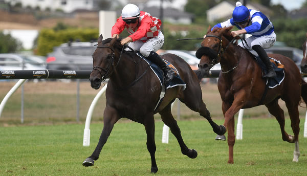 Orchestral winning the Gr.2 Eagle Technology Avondale Guineas (2100m).  Photo: Kenton Wright (Race Images)