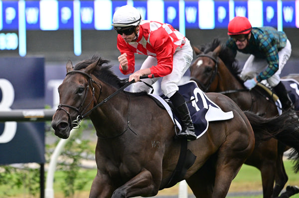 James McDonald salutes Orchestral's outstanding triumph in $1.5 million TAB Karaka Millions 3YO (1600m).  Photo: Race Images 