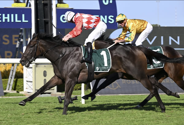Orchestral shows her class to win the G1 Vinery Stud Stakes - image Steve Hart