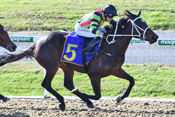 Orgullo winning at Cambridge on Wednesday. Photo: Kenton Wright (Race Images)