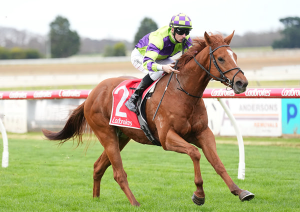 Orion the Hunter wins at Sale - image Scott Barbour / Racing Photos